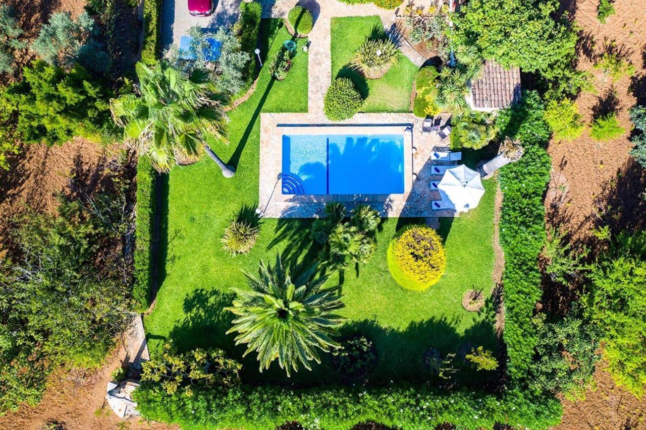Moreno Villa *